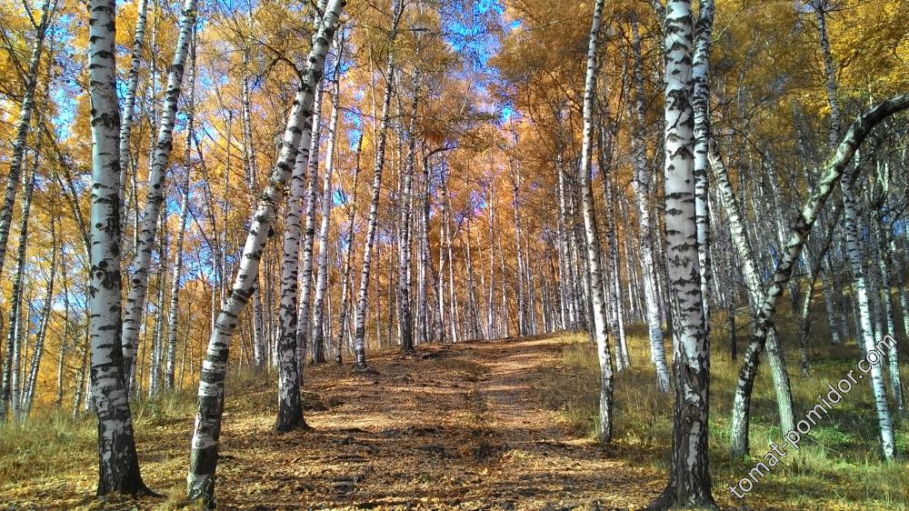 осень в горах