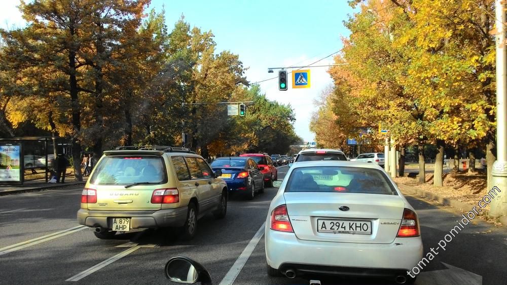 осень в городе