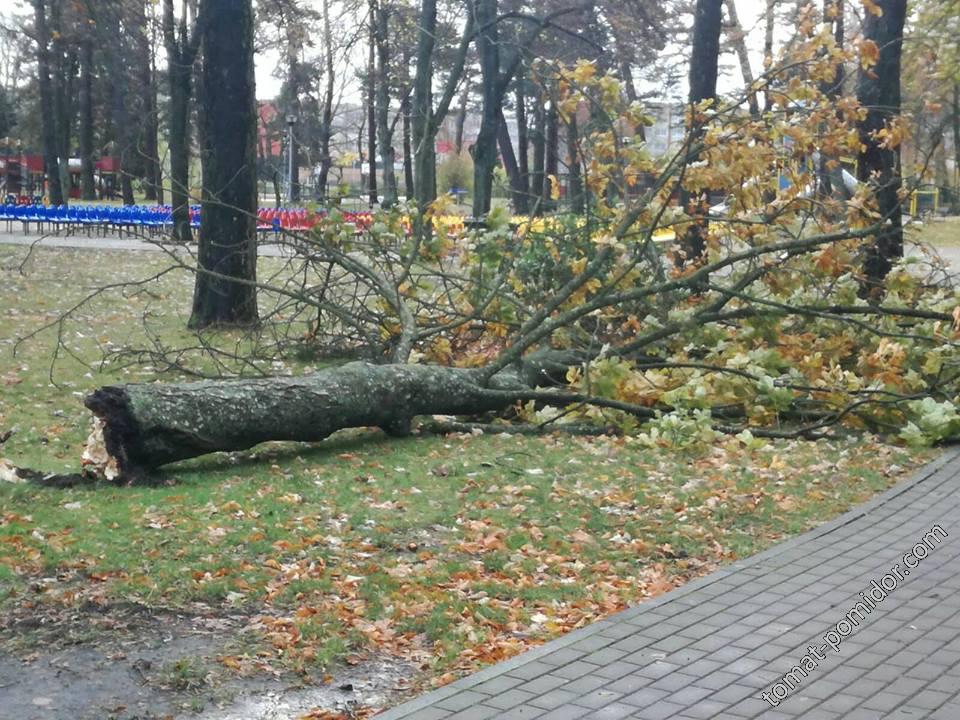 ураган в городе 30.10.2017