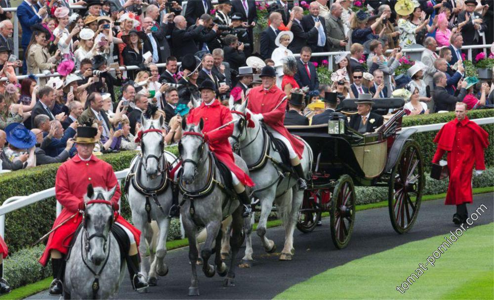 Скачки Royal Ascot