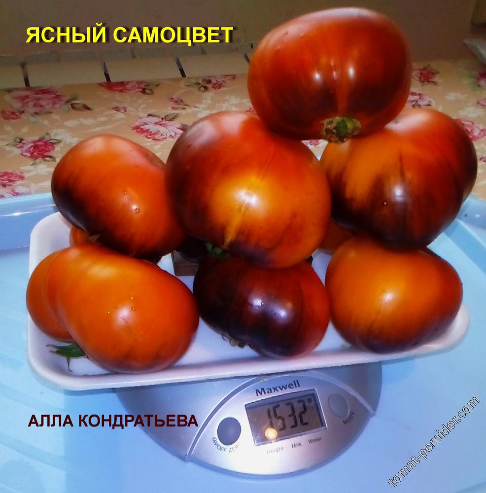 ЯСНЫЙ САМОЦВЕТ