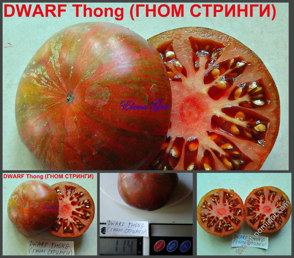 Томат гном для соуса описание сорта фото