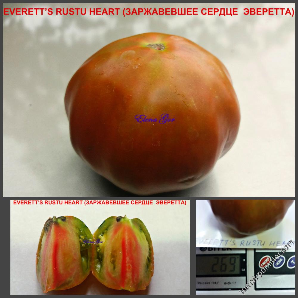 EVERETT’S RUSTU HEART (ЗАРЖАВЕВШЕЕ СЕРДЦЕ  ЭВЕРЕТТА)