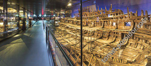 The Mary Rose Museum