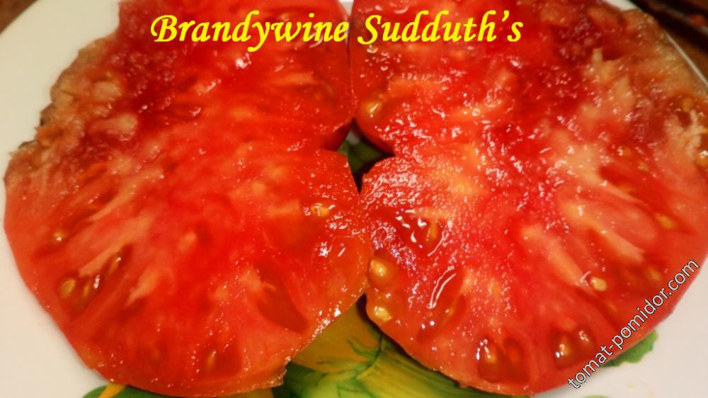 Brandywine Sudduth’s