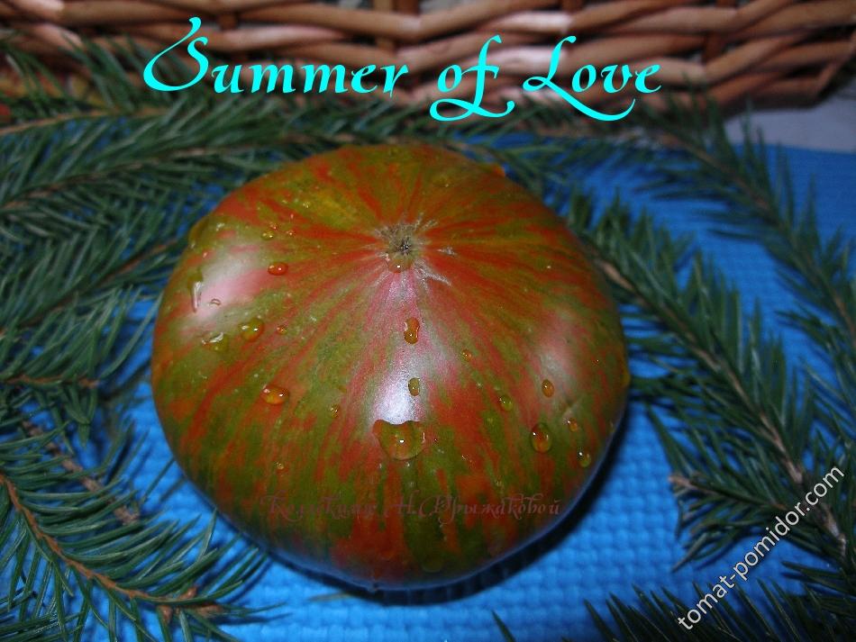 Summer of Love (Лето Любви)