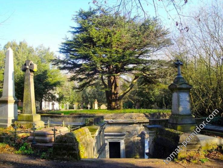 Highgate Cemetery