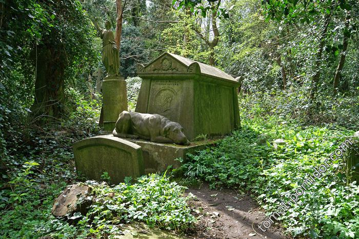 Highgate Cemetery