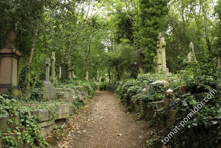 Highgate Cemetery