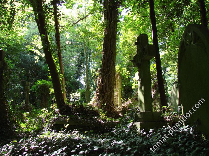 Highgate Cemetery