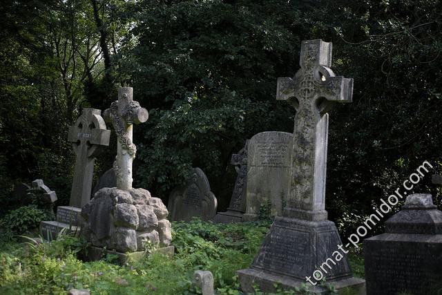 Highgate Cemetery