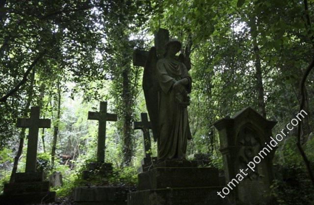 Highgate Cemetery