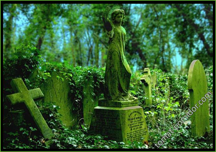 Highgate Cemetery