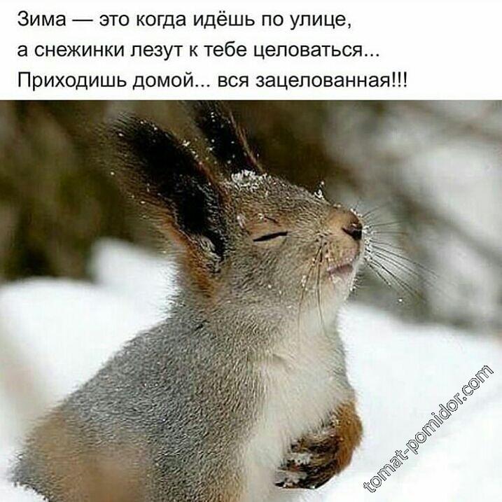 Снежинки