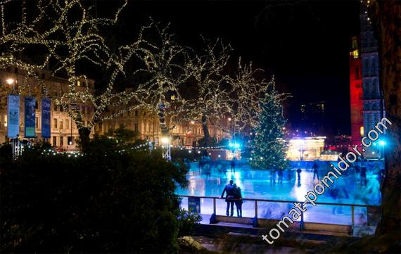 ice rink