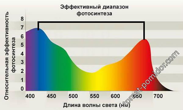 Эффективный спектр для фотосинтеза.
