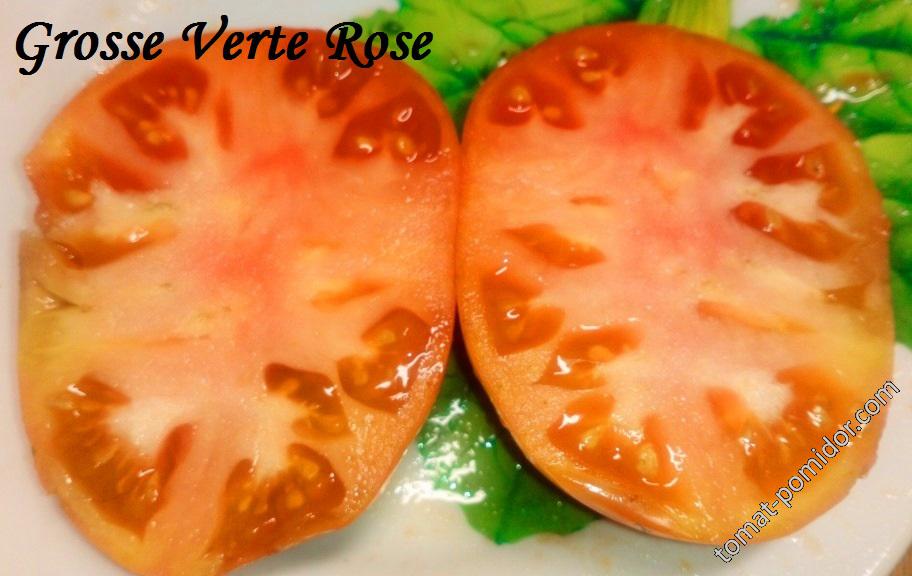 Grosse Verte Rose