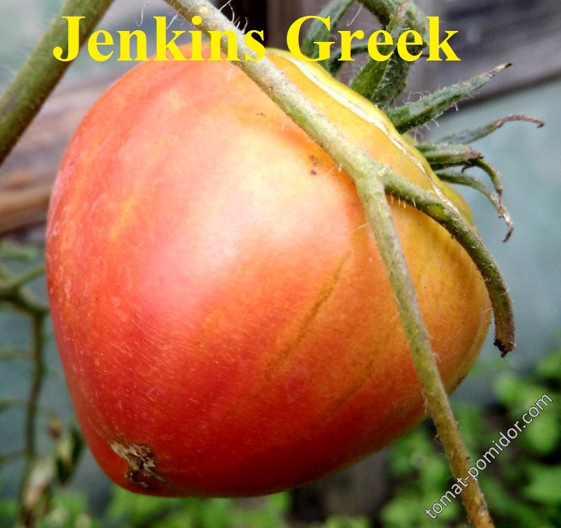 Jenkins Greek