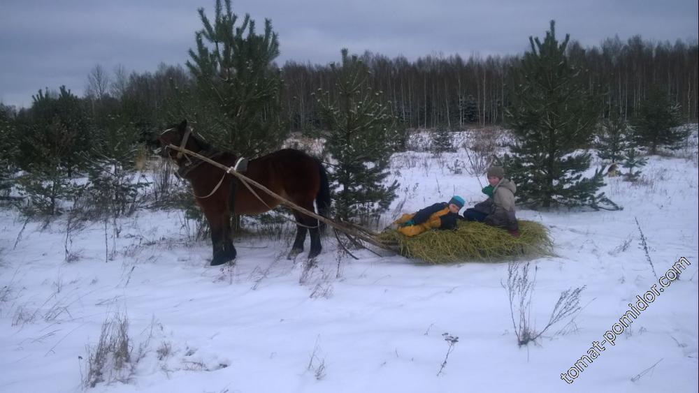 зима почти как в простоквашино