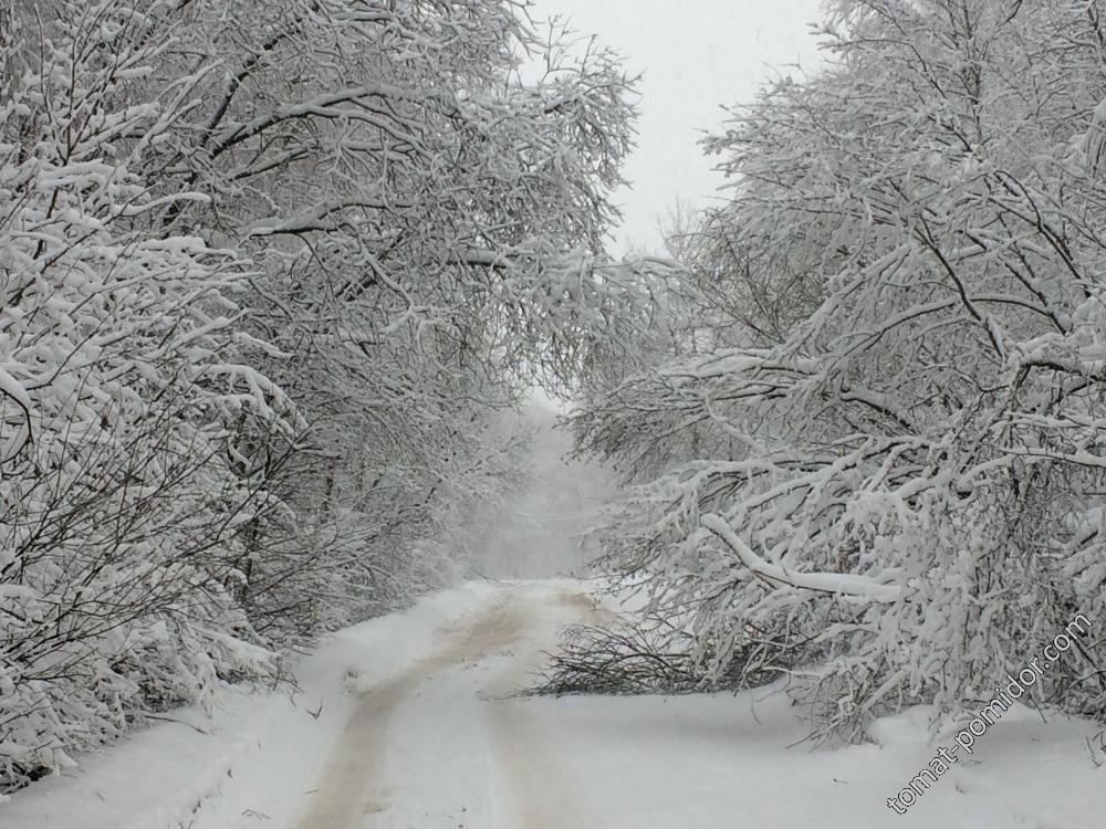 Воскресенье, 04.02.18