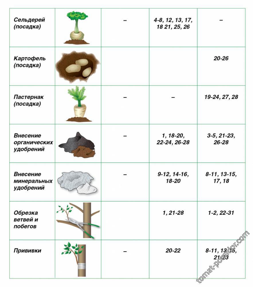 Схема посева пастернака