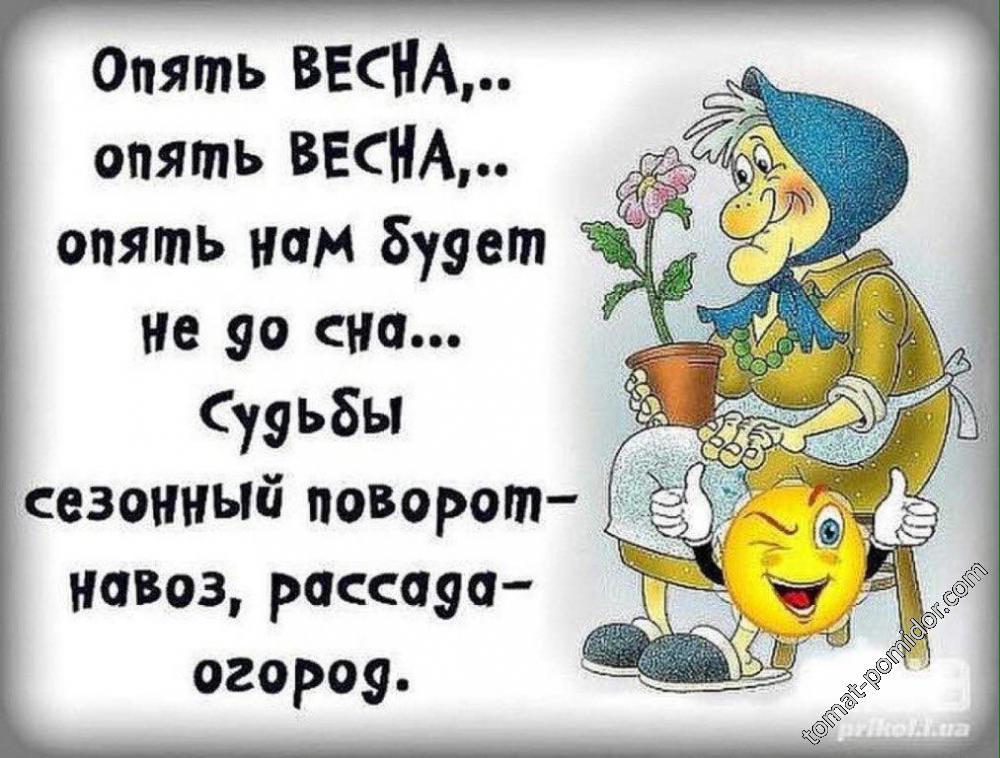 весна