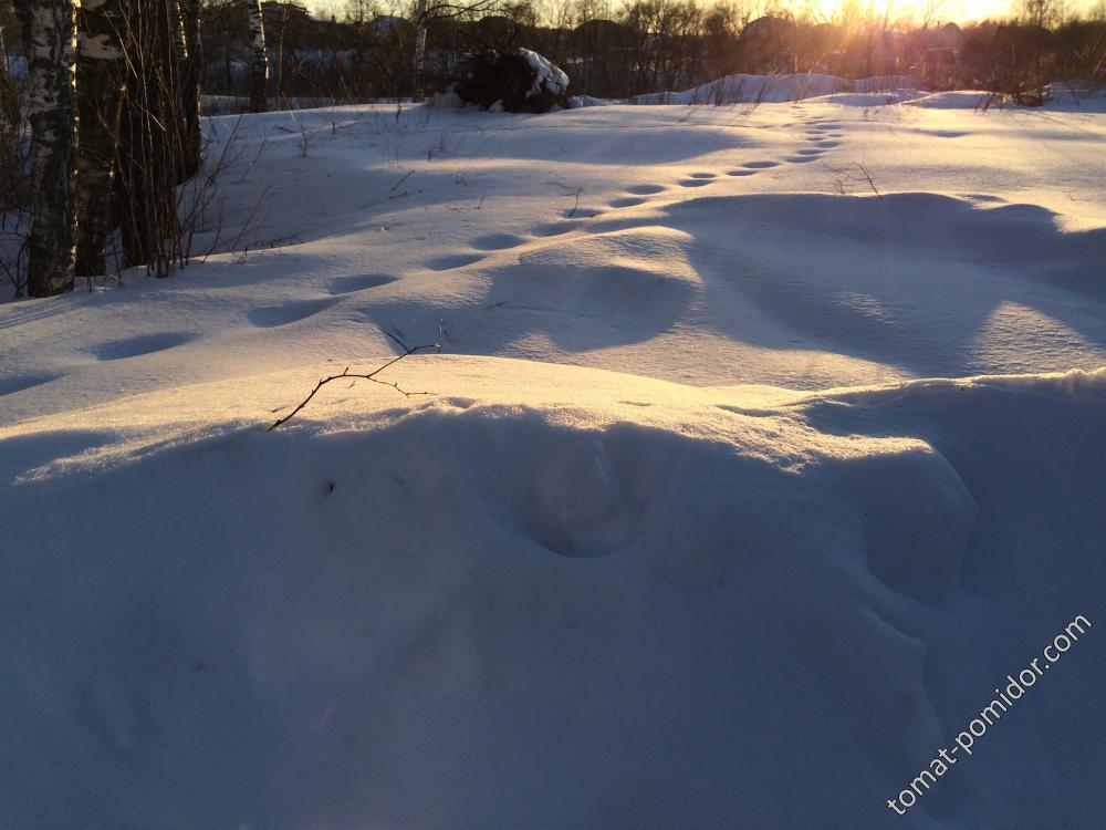 Рядом с дачей 24.03.18