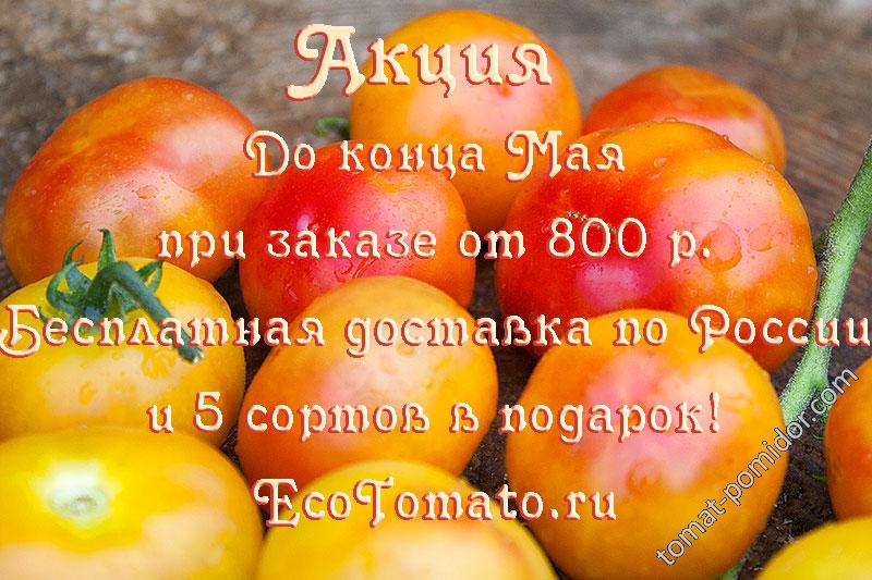 Акция в Мае на ecotomato.ru