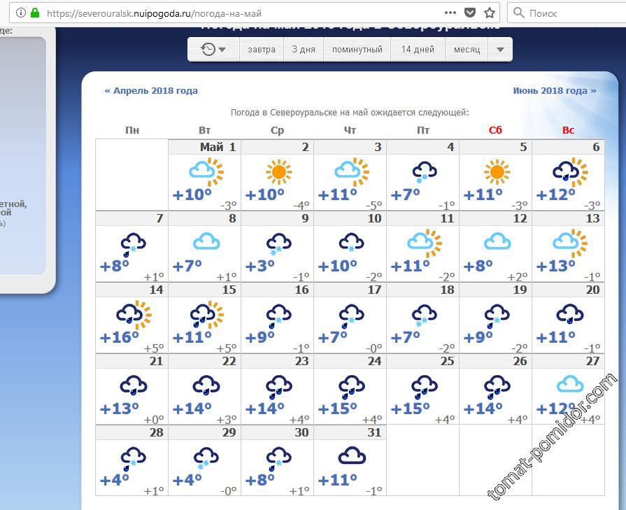Прогноз на май новосибирск. Прогноз на май. Поминутный прогноз. Прогноз на апрель. Алиса показать погоду на весь май.