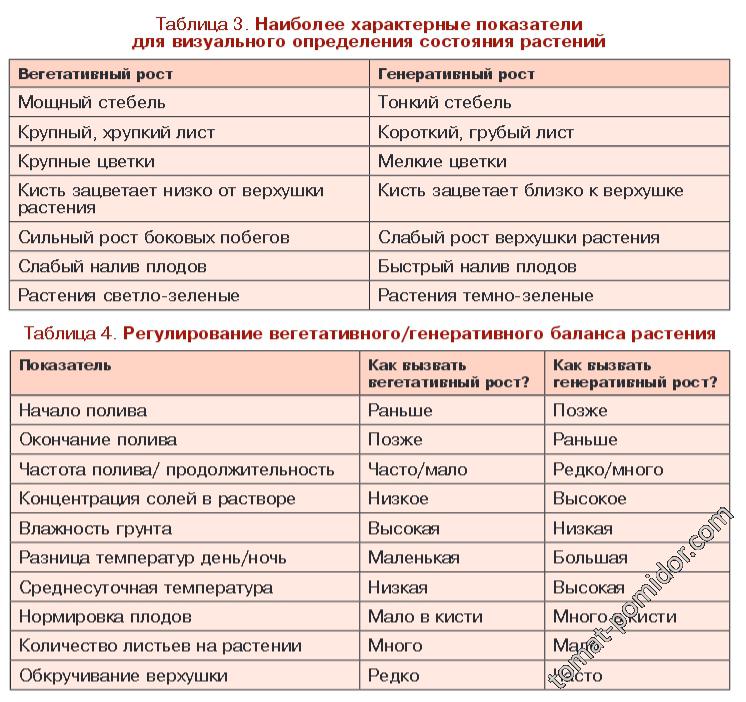 Вегетативный и генеративный тип