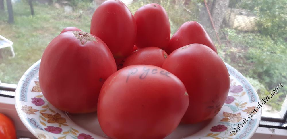 Coeur de boeuf russe