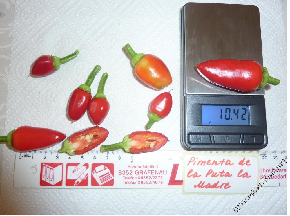 Pimenta de la Puta la Madre