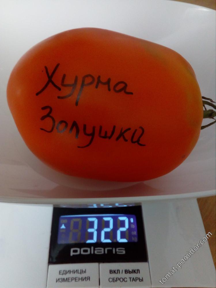 Хурма от Золушки