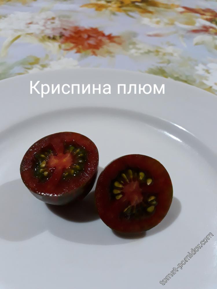 Криспина плюм