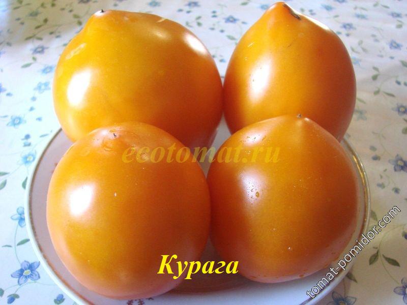 Курага