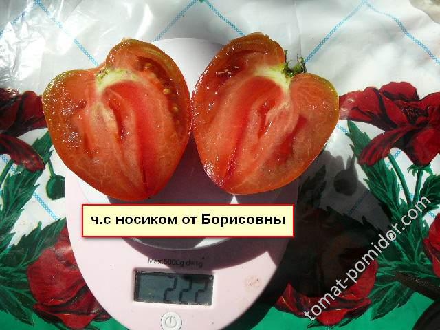 ч.с носиком от Борисовны