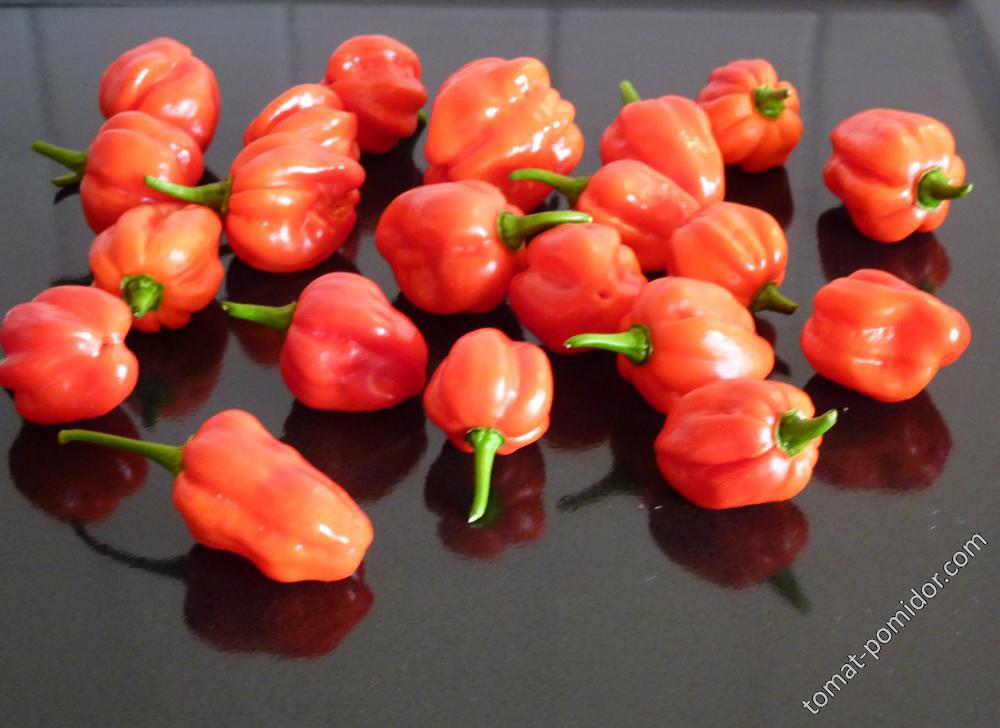 Aji Dulce Rojo (Острота: 1 из 10)