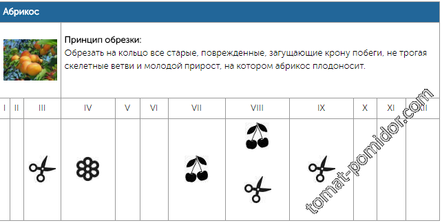 обрезка деревьев