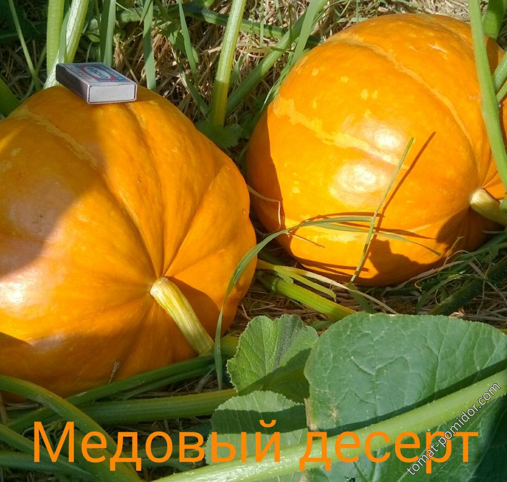 Медовый десерт