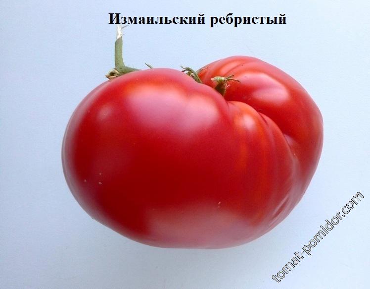 Измаильский ребристый