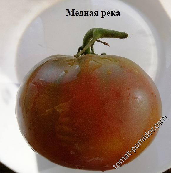 Медная река