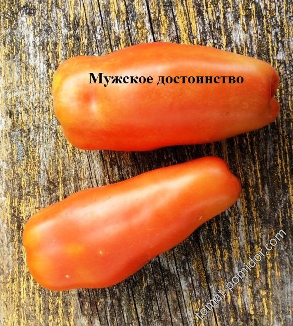 мужское достоинство