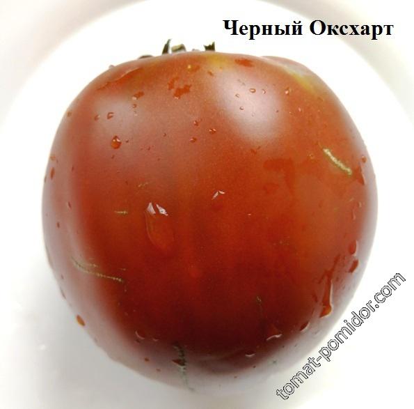 Черный Оксхарт