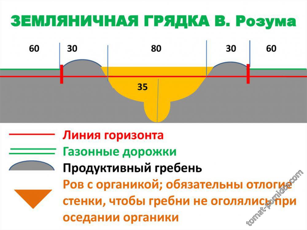 схема грядки Розума