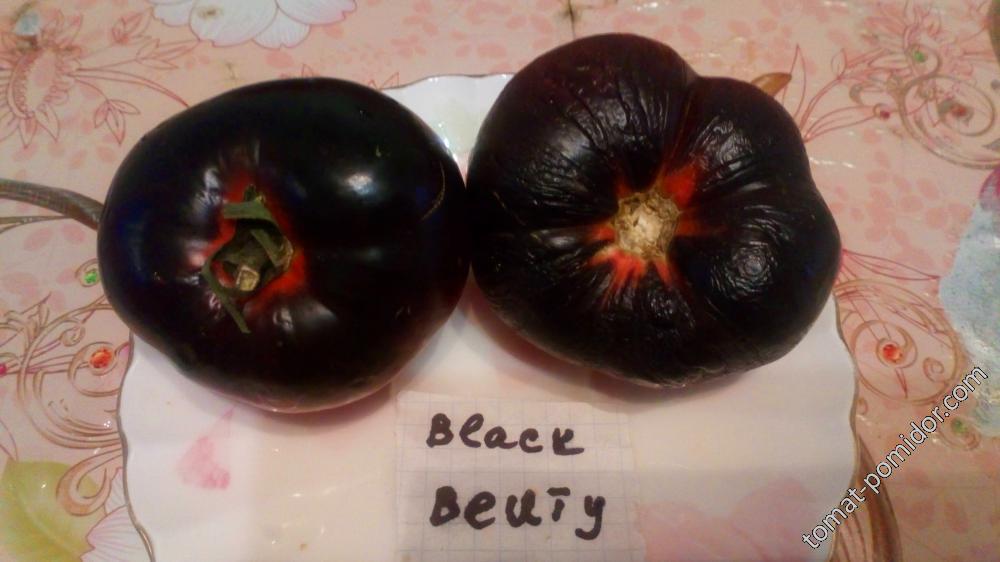 Black Beauty (Черная красота)