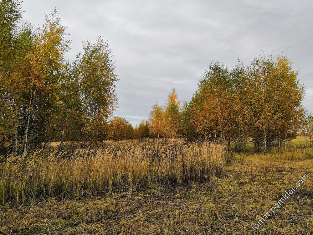 В посадках 10.10.18г.