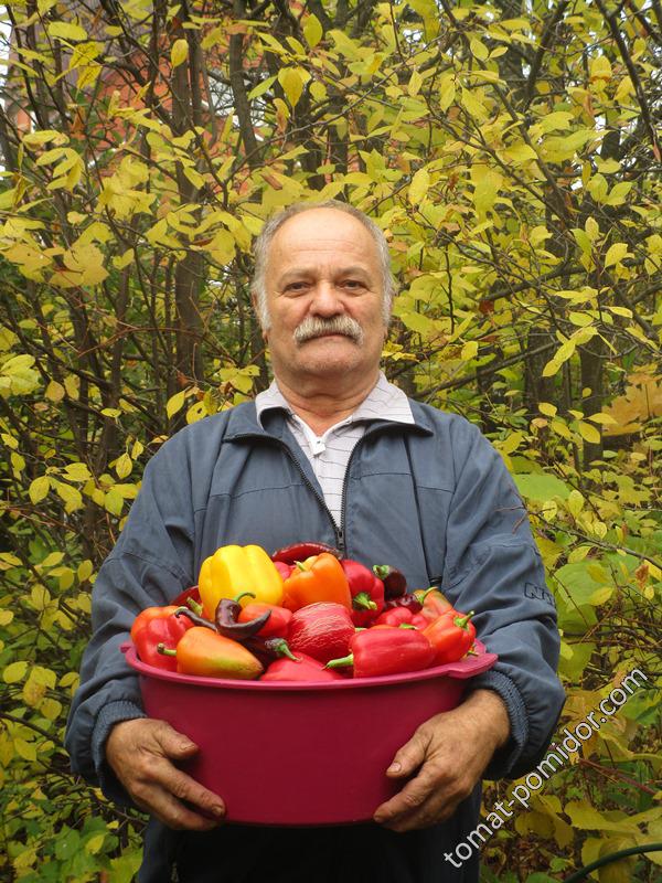 папа со сладким перцем