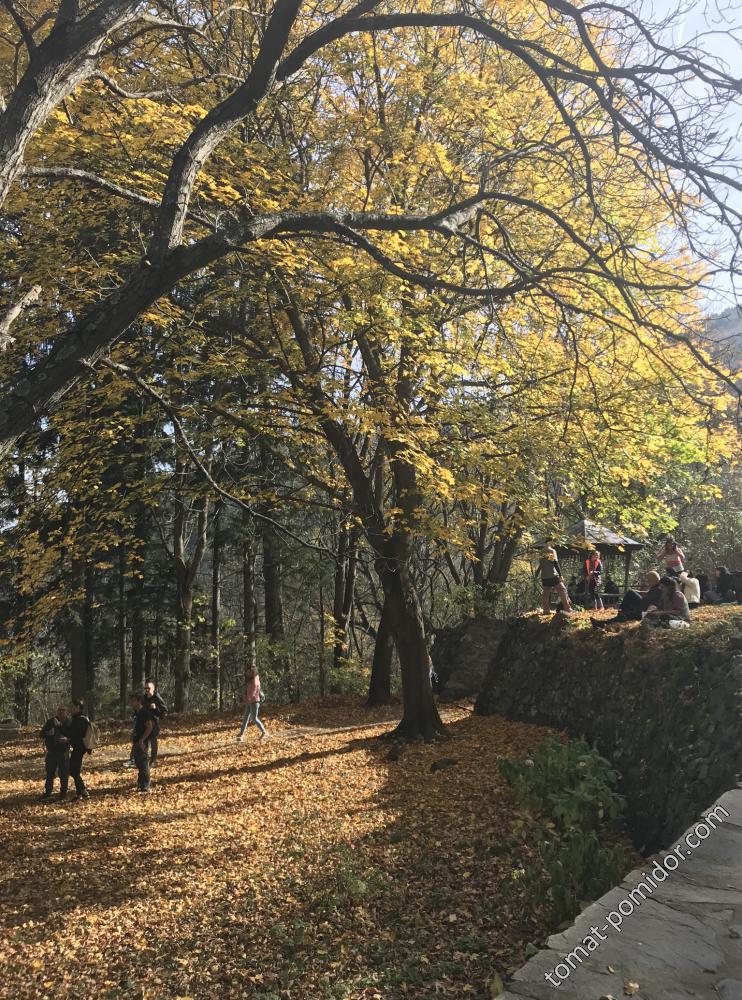 София, гора Витоша, Драгалевский монастырь