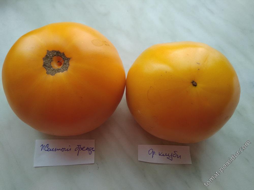 Брендивайн желтый (Yellow Brandywine) и Оранжевая клубника (Orange Strawberry)