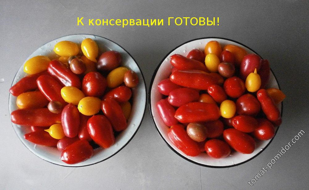 к консервации готовы!